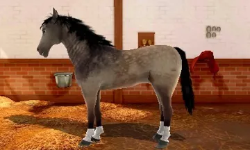 2in1 Horses 3D Vol.2 - Rivals in the Saddle and Jumping for the Team 3D (Europe) (En,Fr,De,Es,It) screen shot game playing
